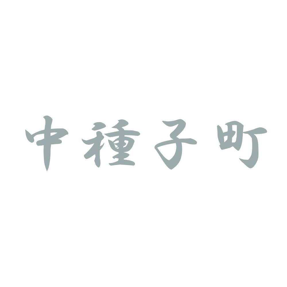 中種子町 10