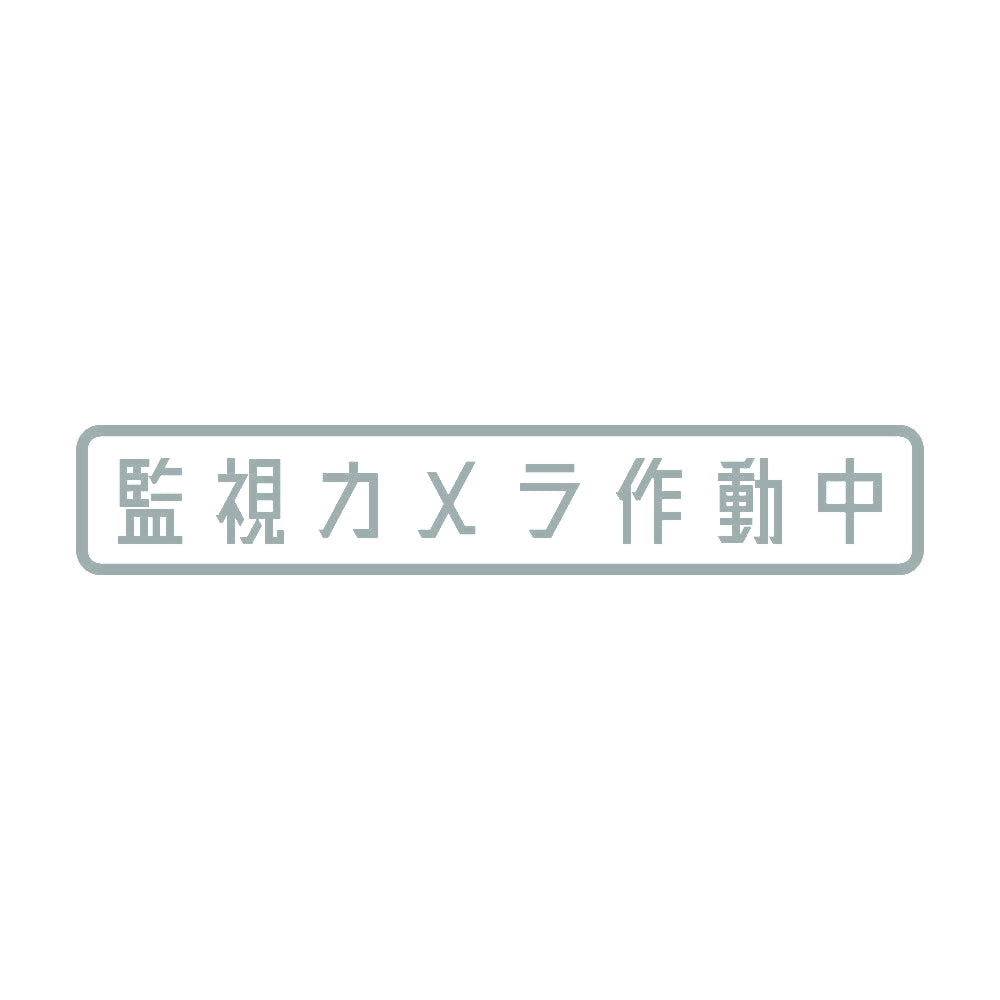 監視カメラ作動中 10