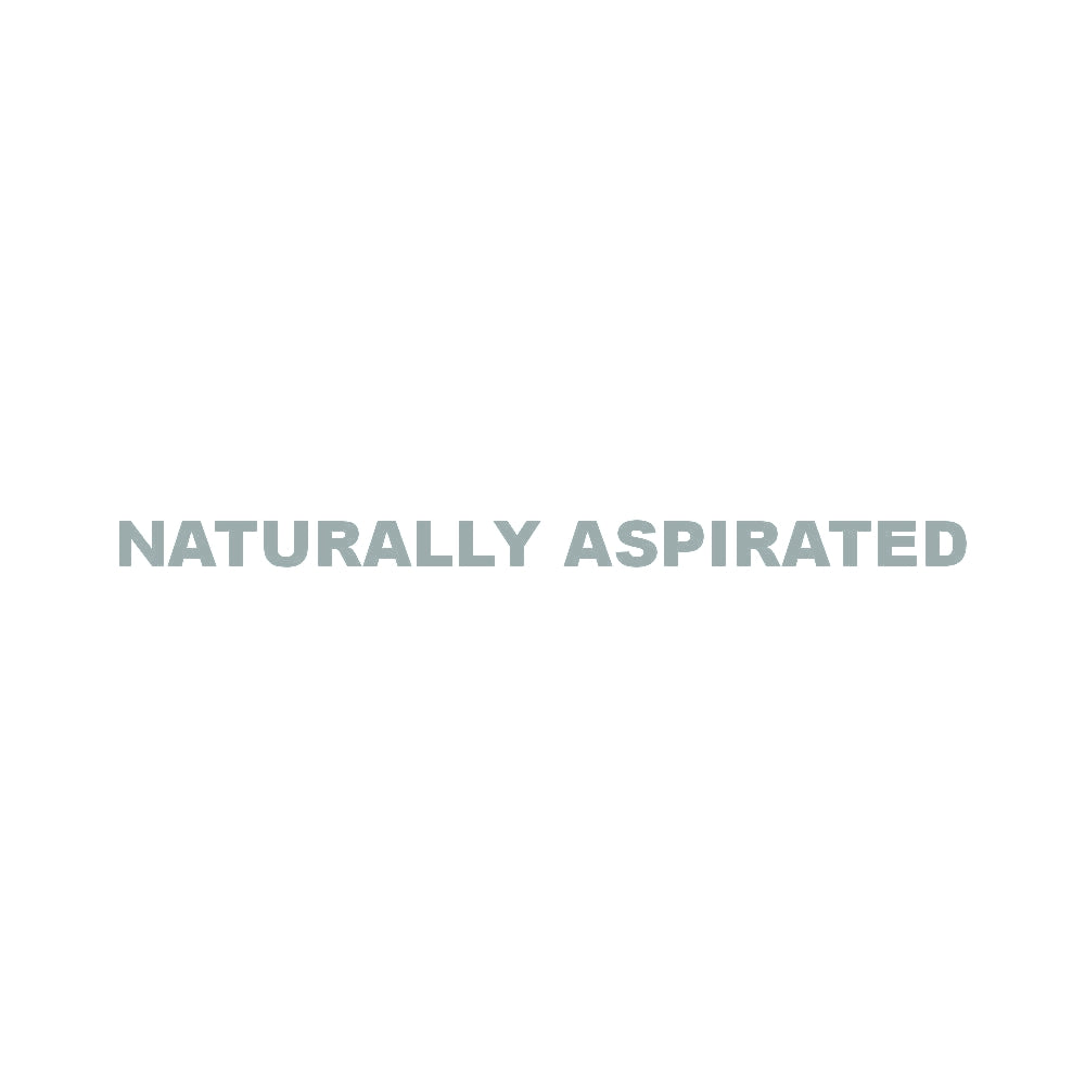 NATURALLY ASPIRATED (A) 10