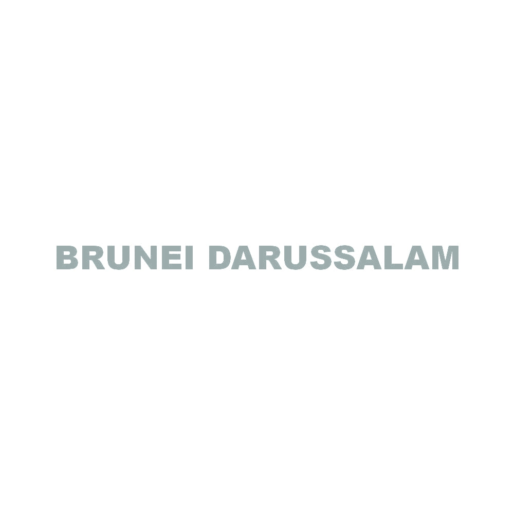 BRUNEI DARUSSALAM 10