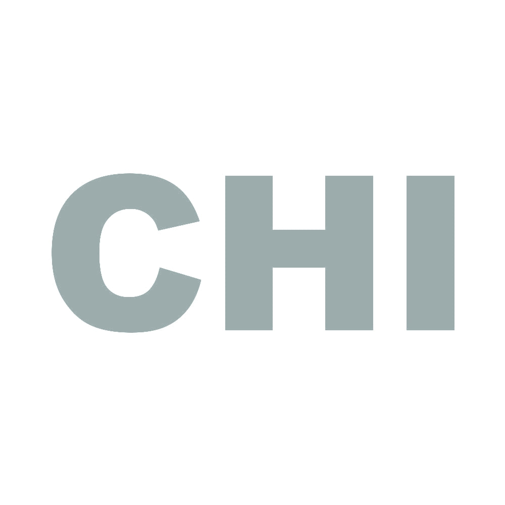 CHI 10