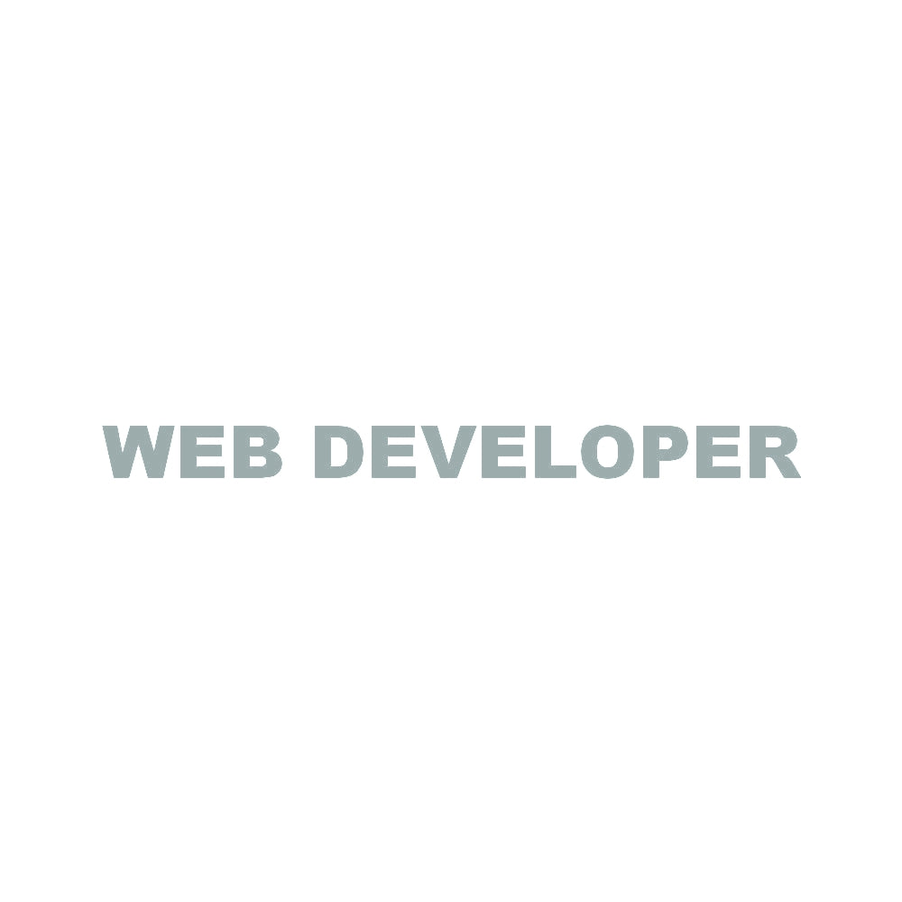 WEB DEVELOPER 10