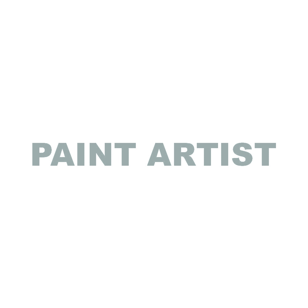 PAINT ARTIST 10