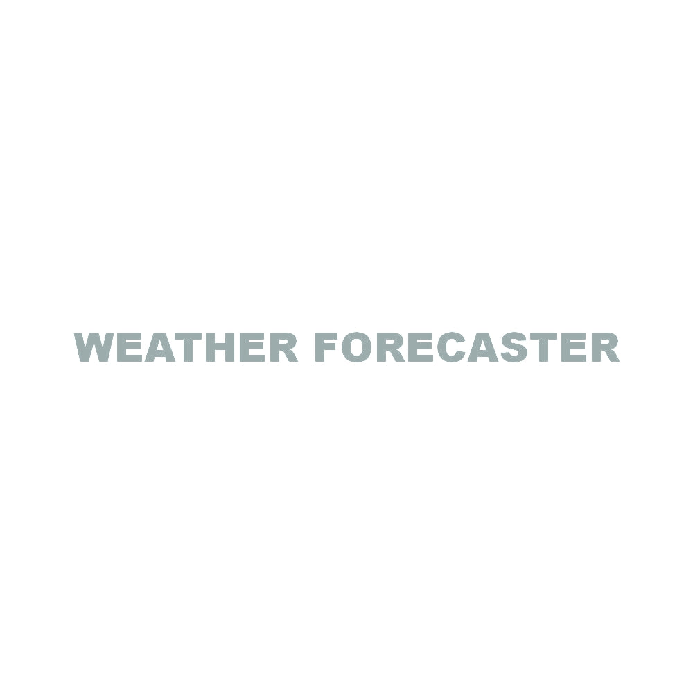 WEATHER FORECASTER 10