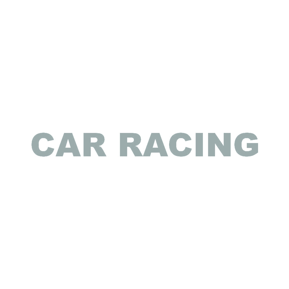 CAR RACING 10
