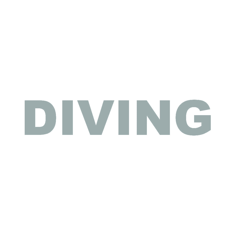 DIVING 10