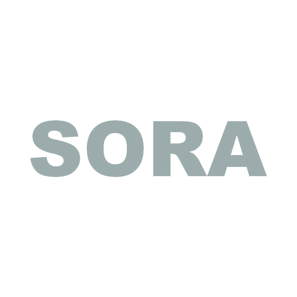 SORA 10
