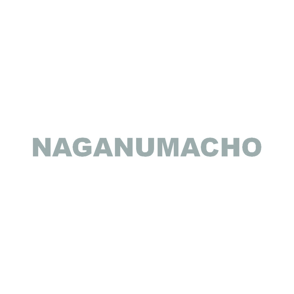NAGANUMACHO 10