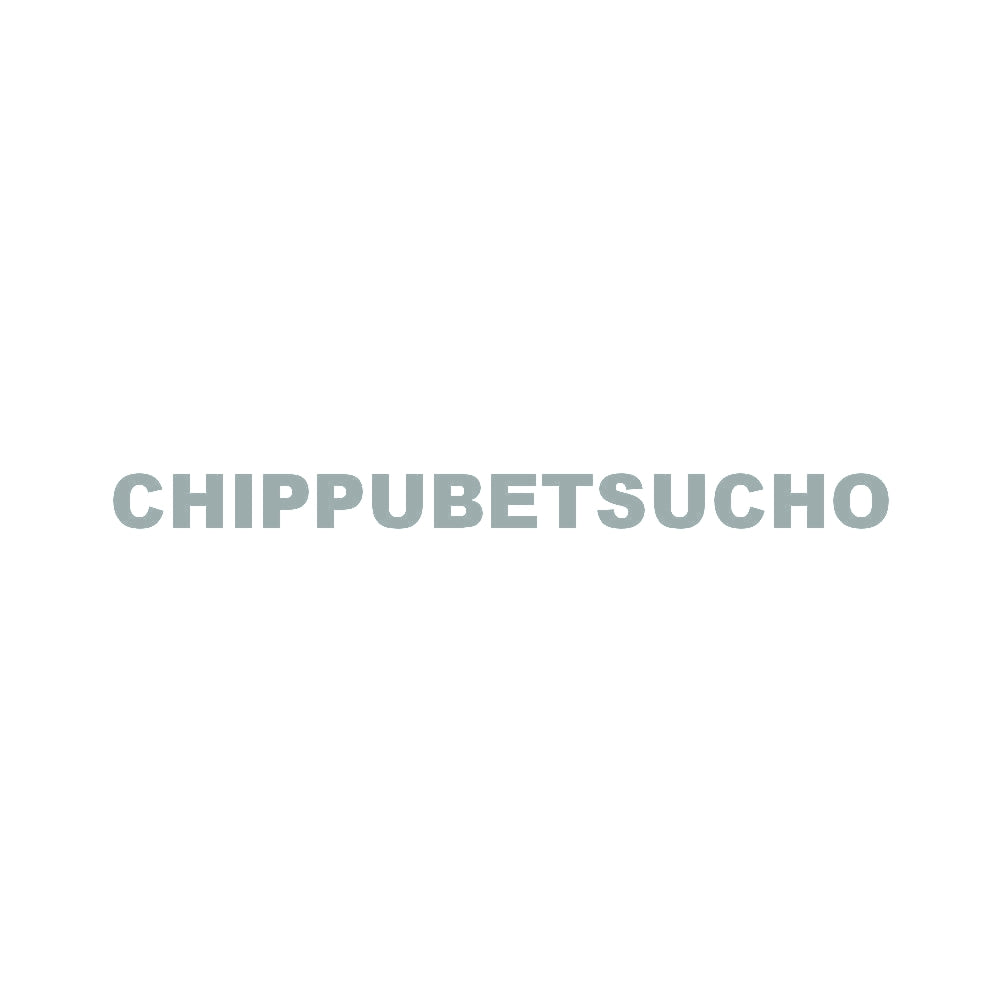 CHIPPUBETSUCHO 10
