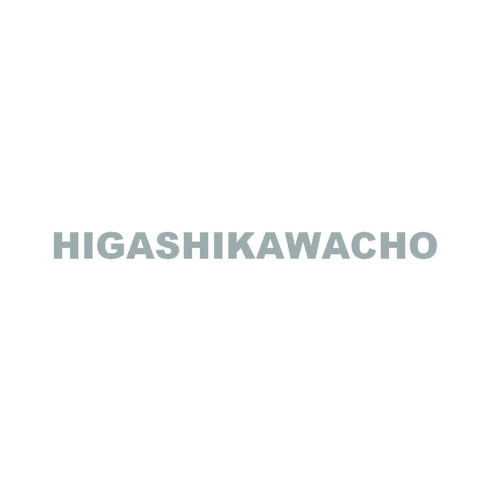 HIGASHIKAWACHO 10