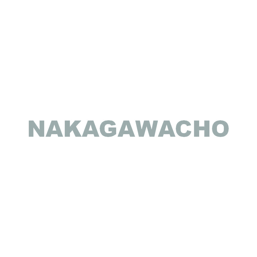 NAKAGAWACHO 10