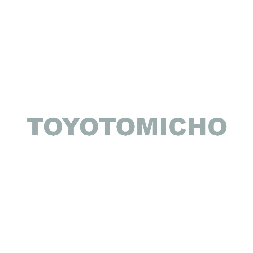 TOYOTOMICHO 10