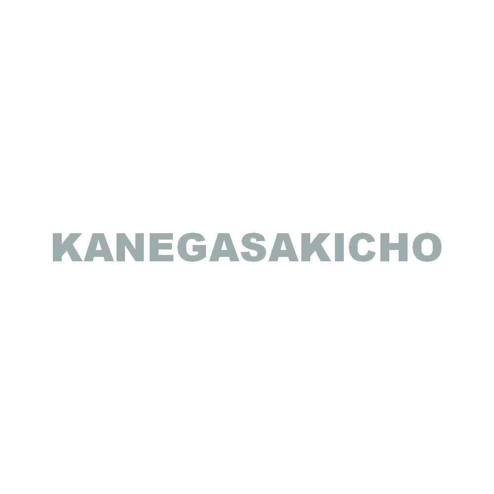 KANEGASAKICHO 10