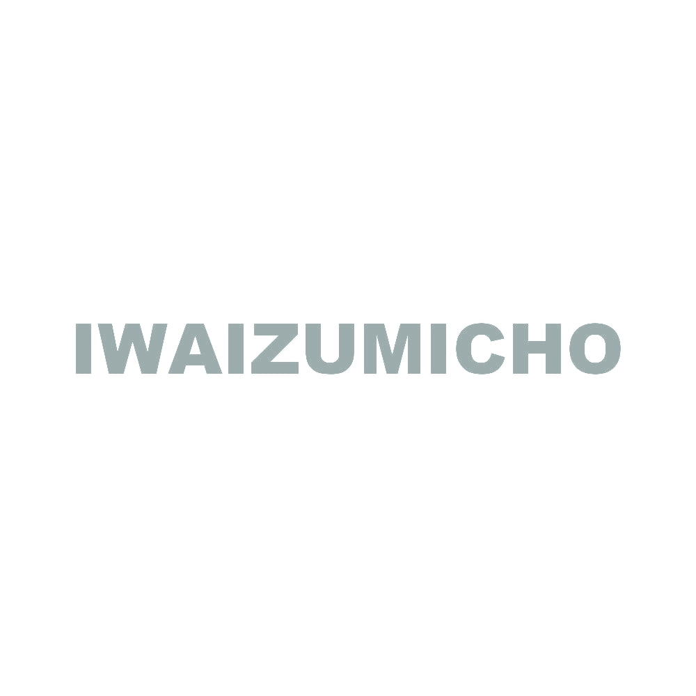 IWAIZUMICHO 10