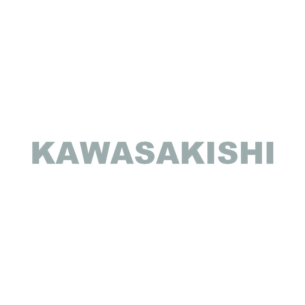 KAWASAKISHI 10