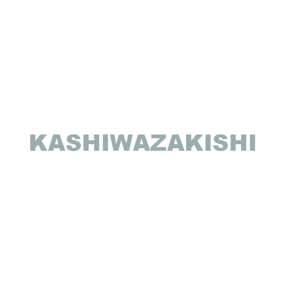 KASHIWAZAKISHI 10
