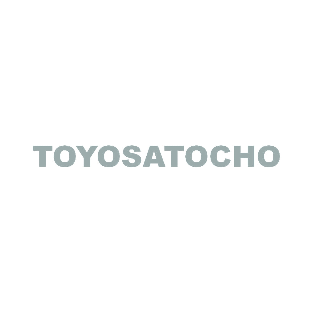 TOYOSATOCHO 10