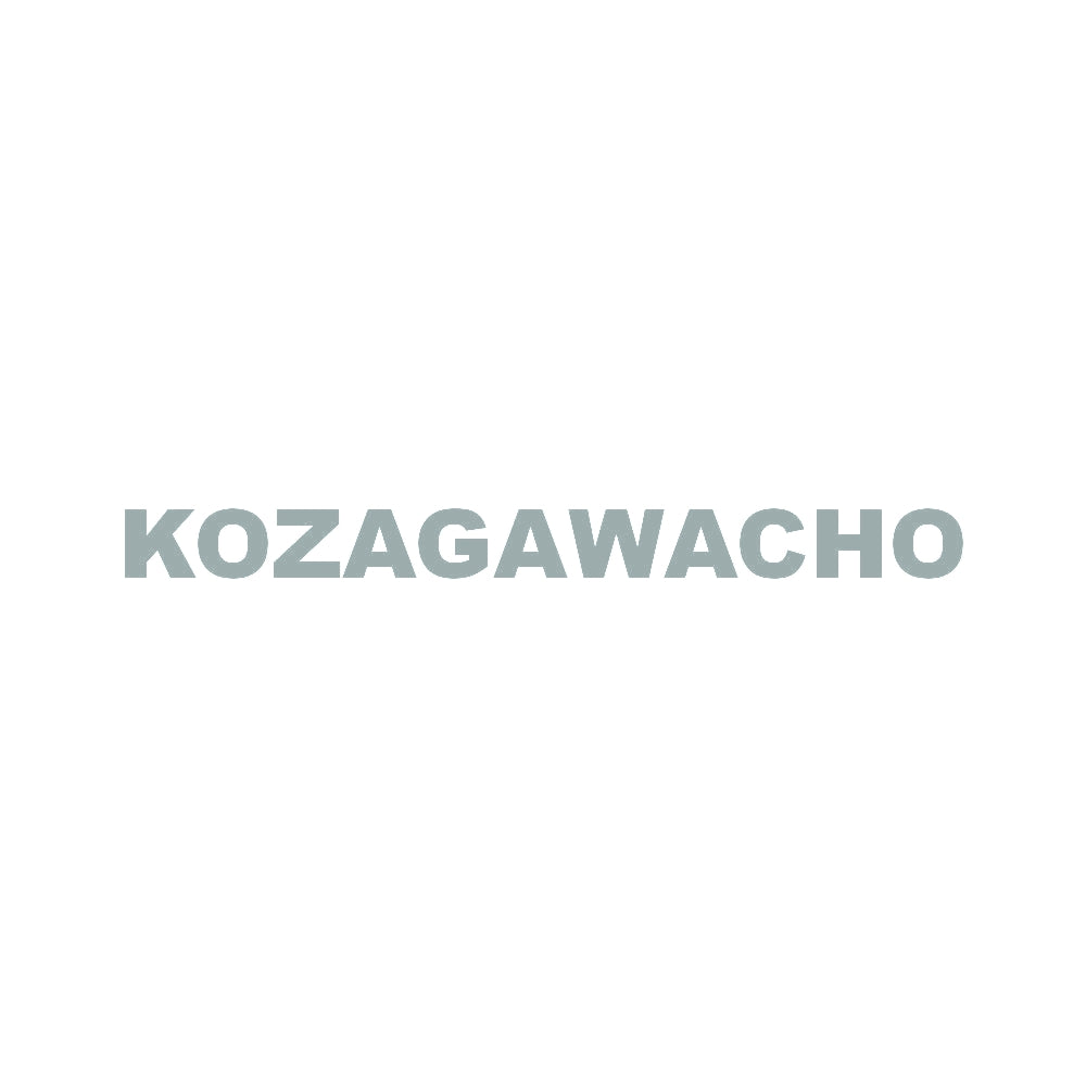 KOZAGAWACHO 10