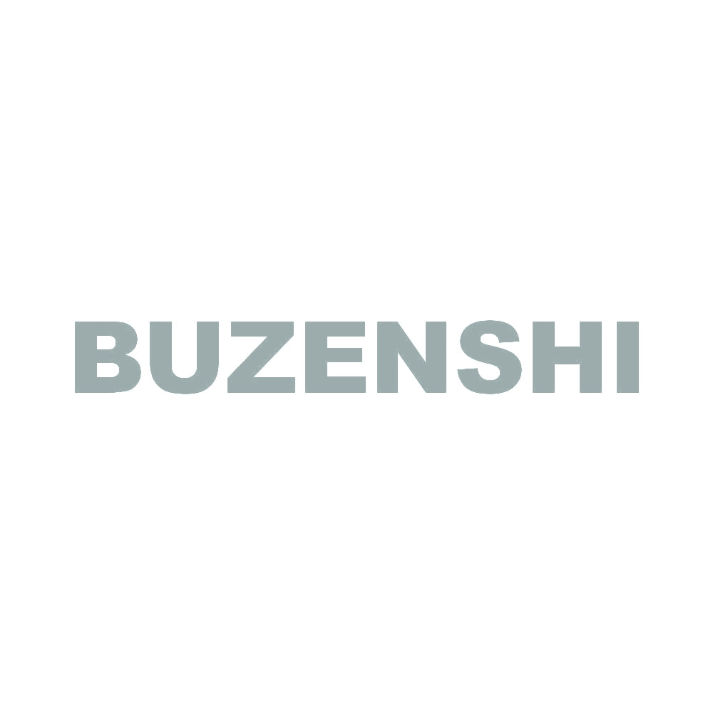 BUZENSHI 10
