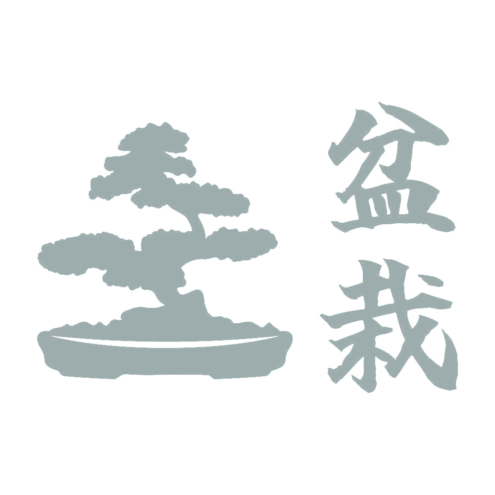 盆栽 (B) 10