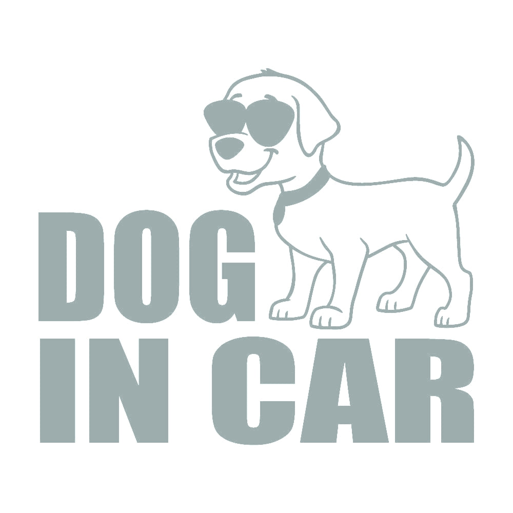 DOG IN CAR (C) 10