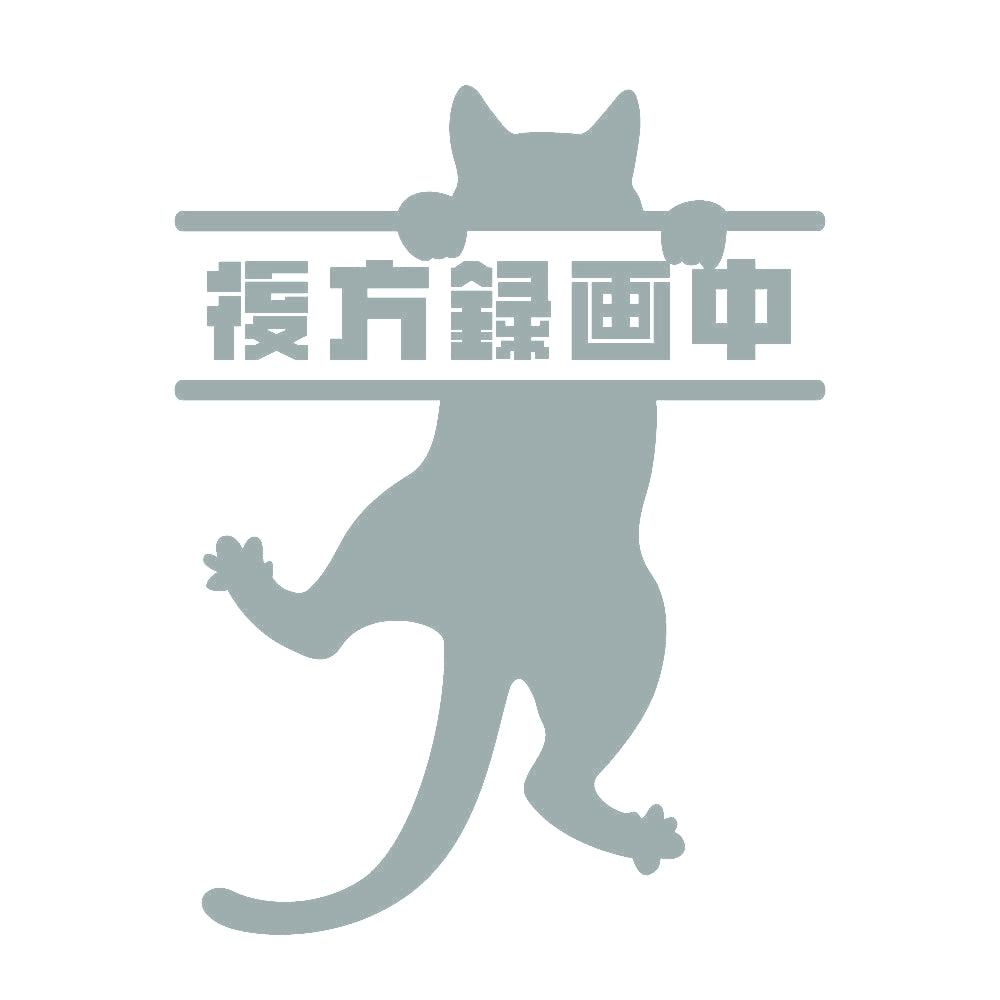 後方録画中 ぶら下がる猫 10