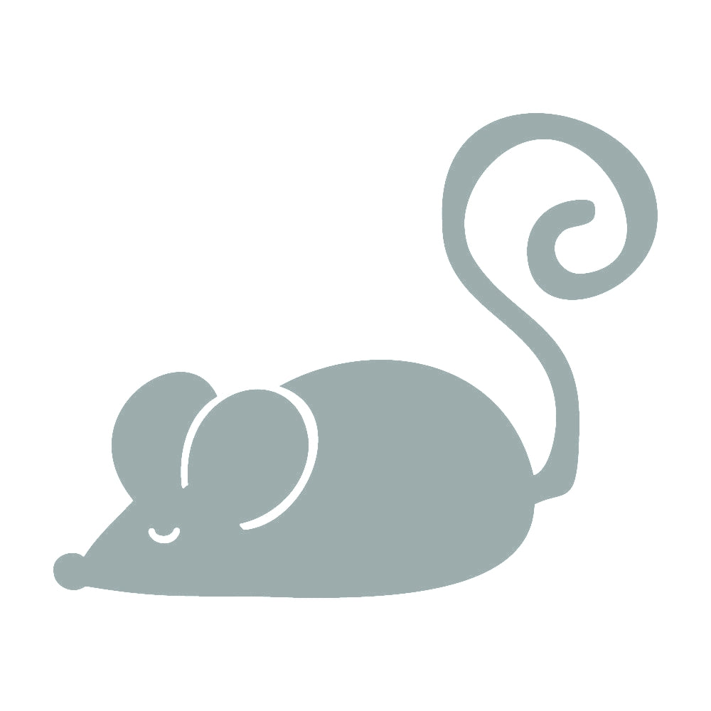 ネズミのおもちゃ 10