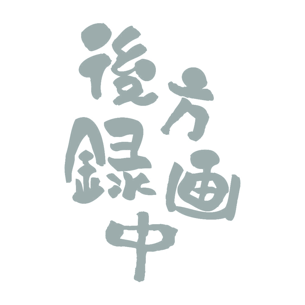 後方録画中 (A) 10