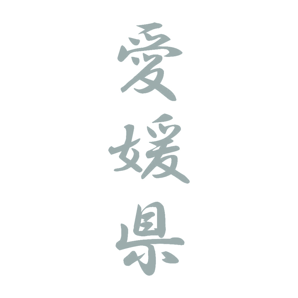 愛媛県 縦書き (A) 10