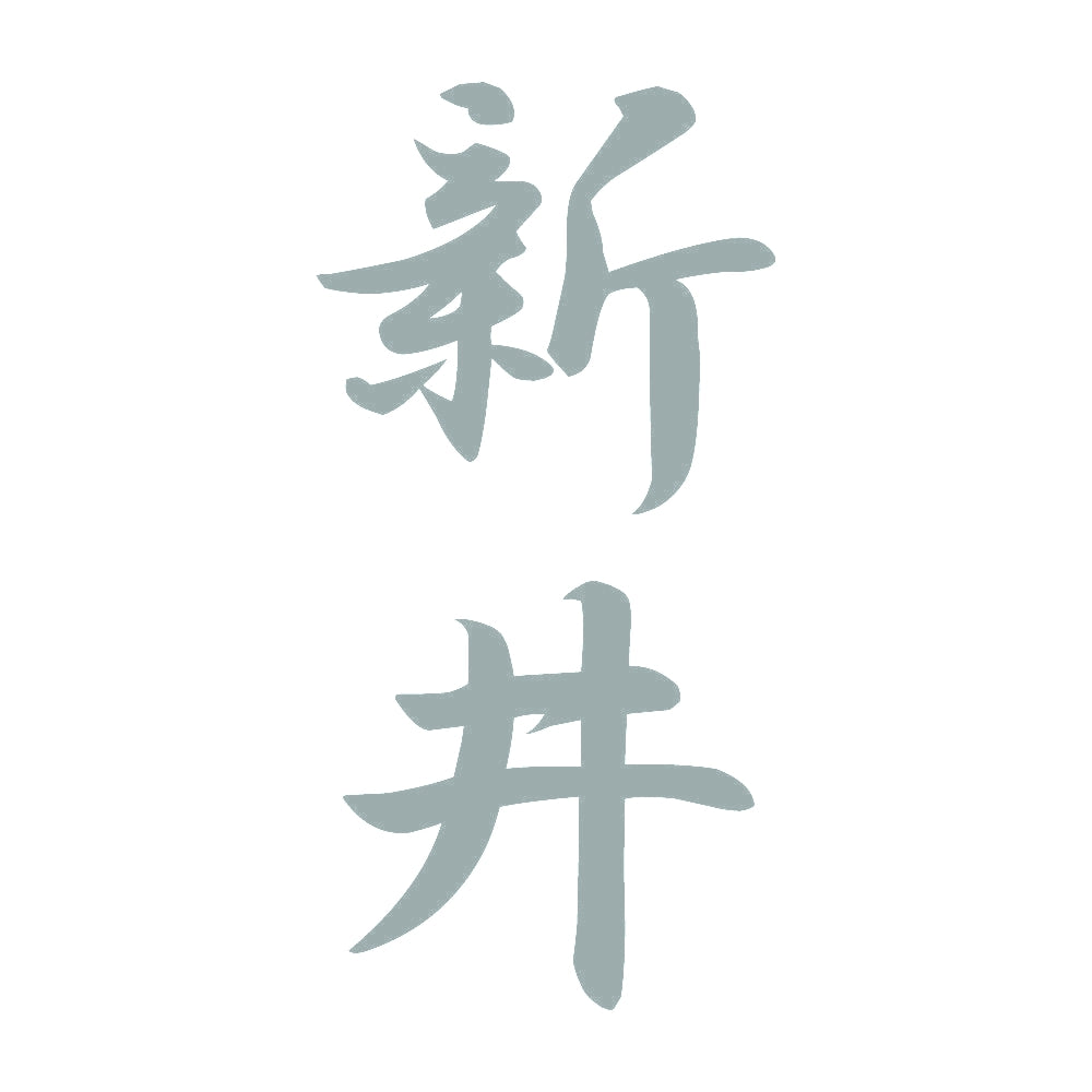 新井 縦書き (A) 10