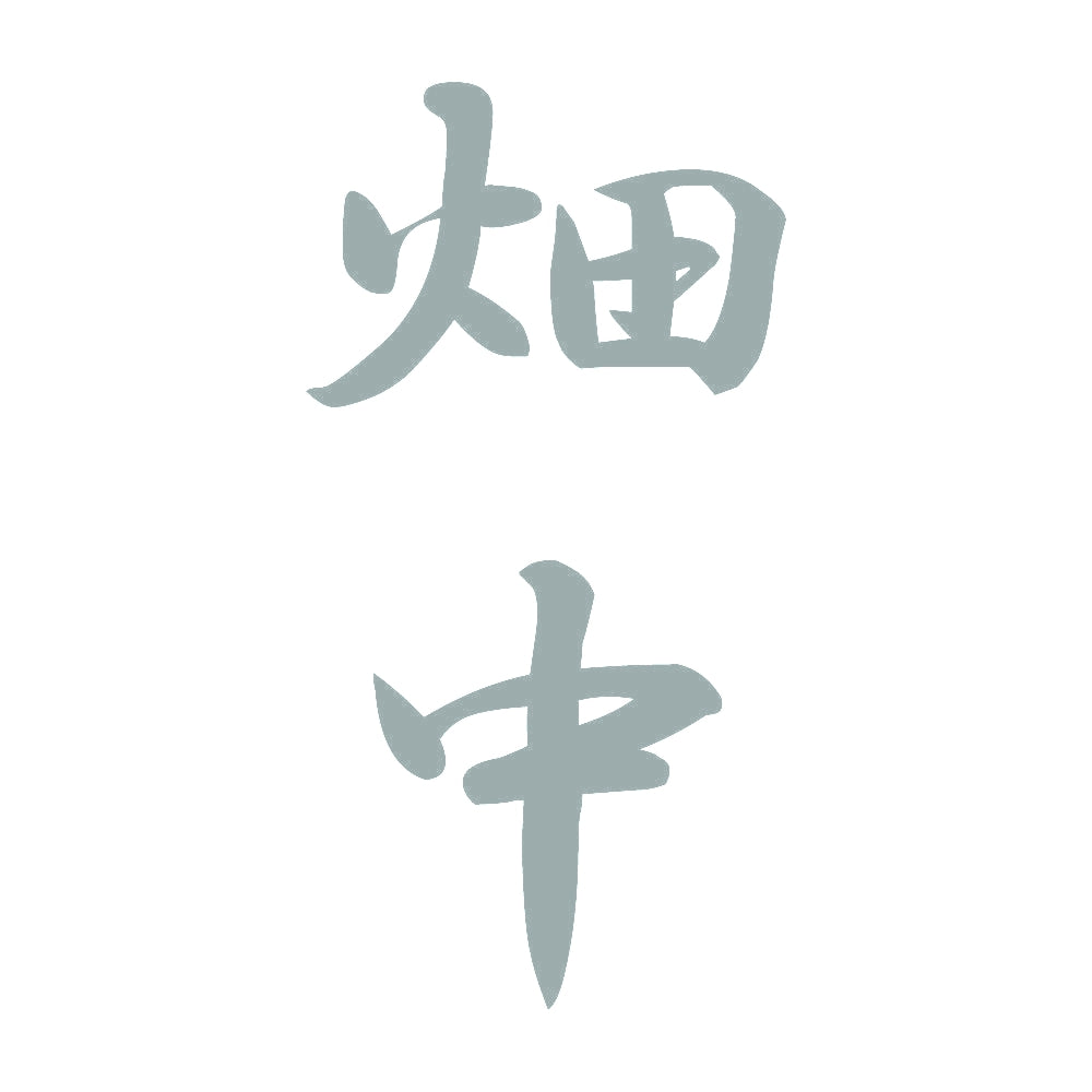 畑中 縦書き (A) 10