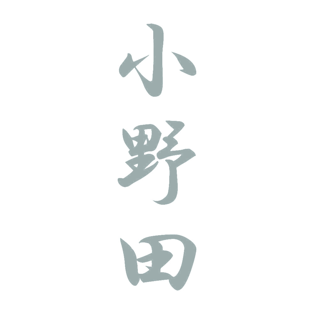 小野田 縦書き (A) 10
