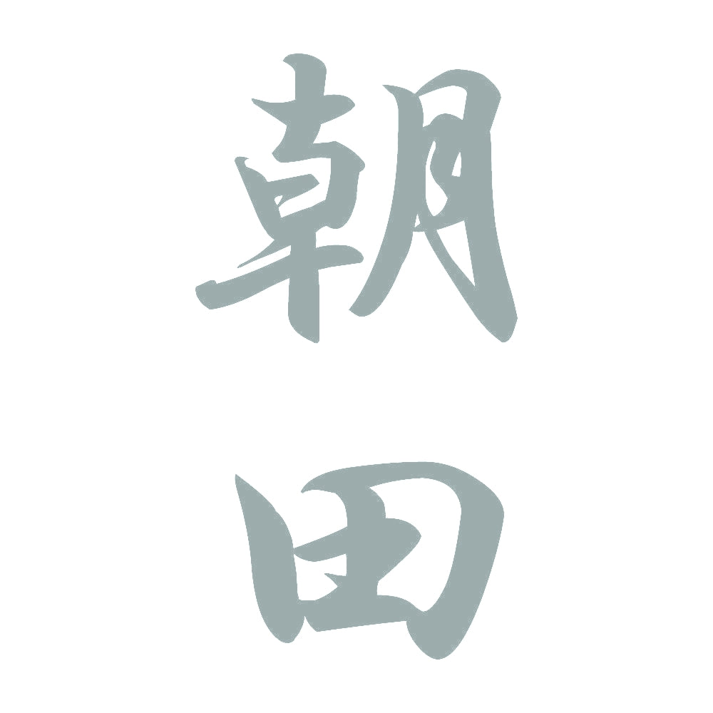 朝田 縦書き (A) 10