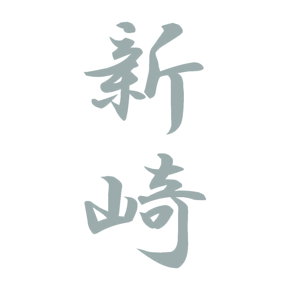 新崎 縦書き (A) 10