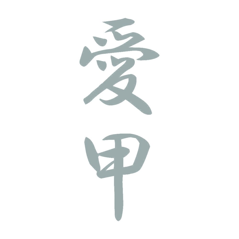 愛甲 縦書き (A) 10