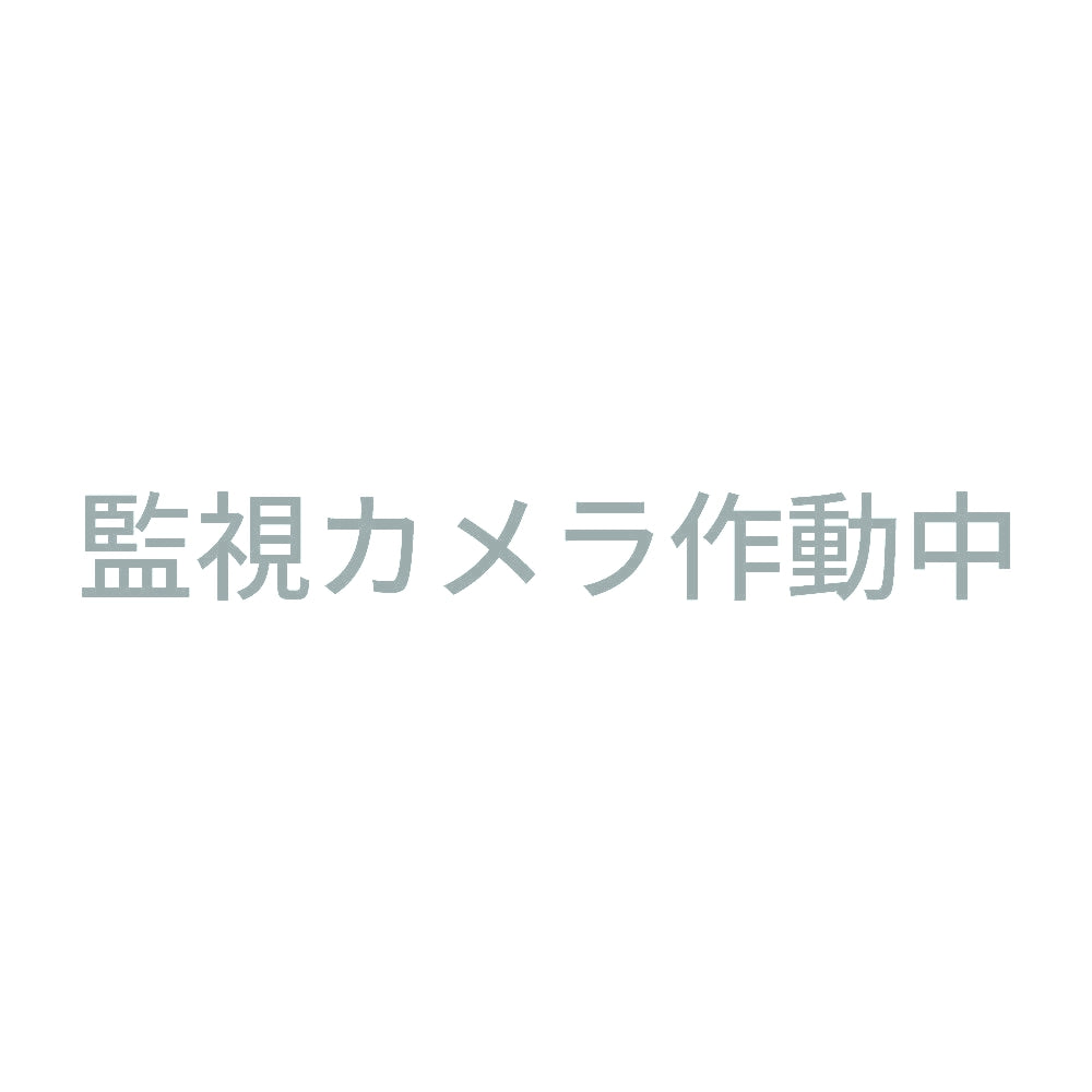 監視カメラ作動中 (A) 10