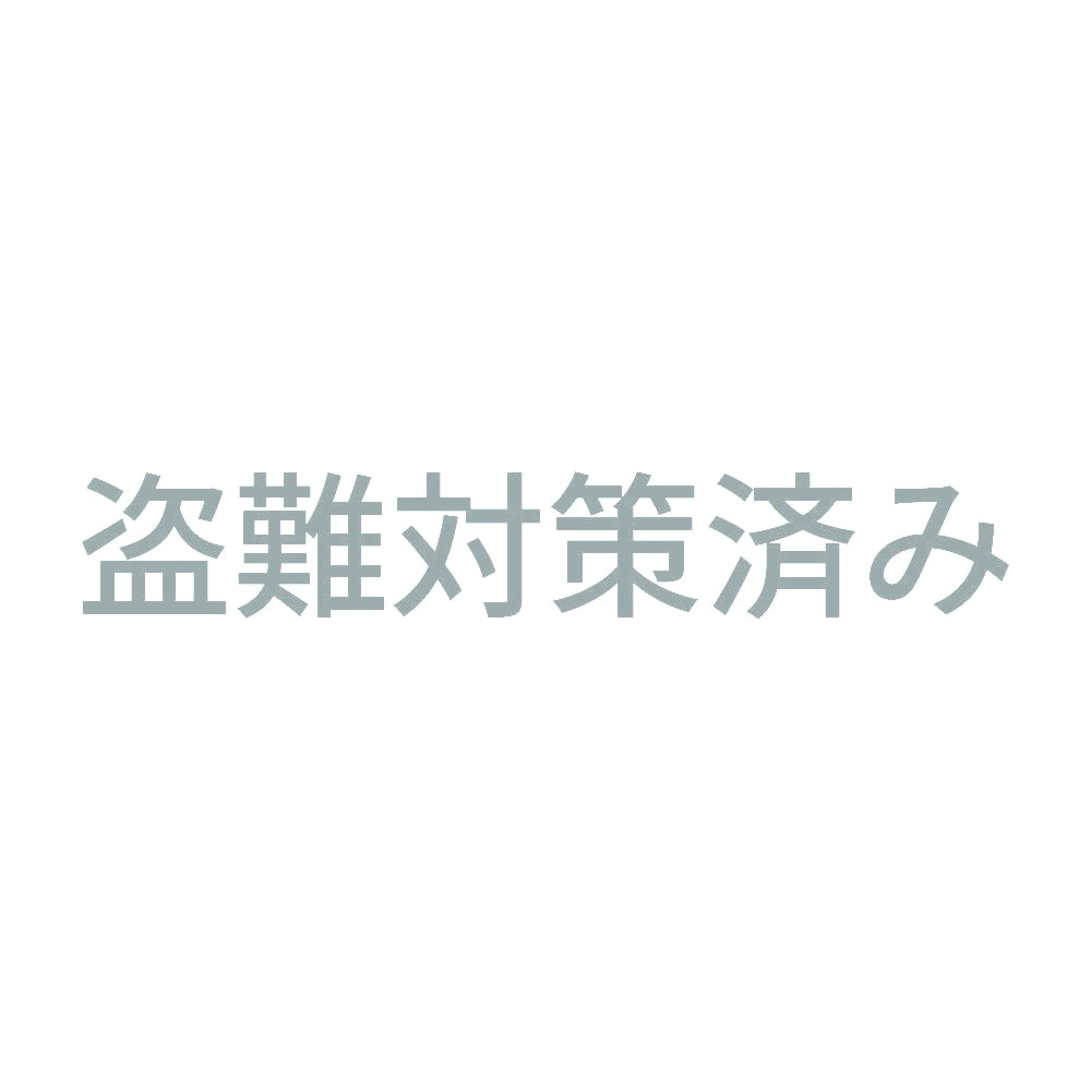盗難対策済み (A) 10