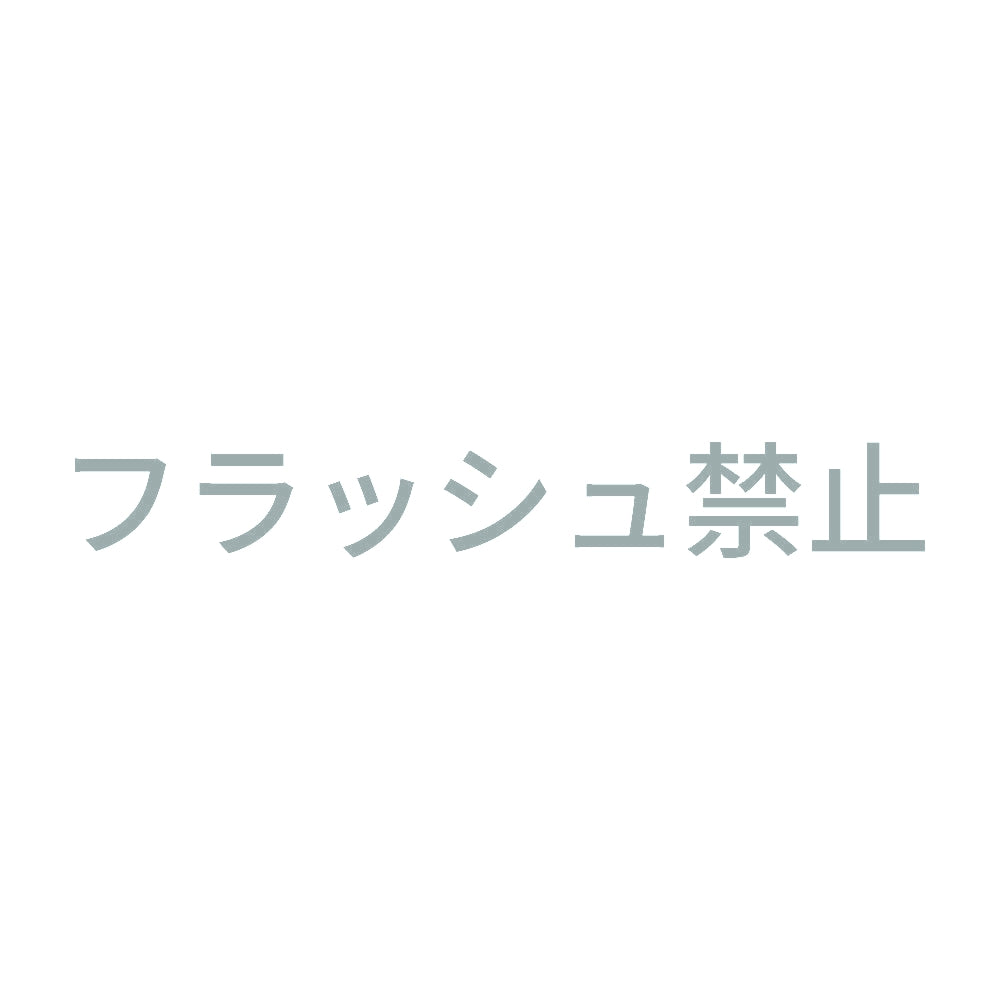 フラッシュ禁止 (A) 10