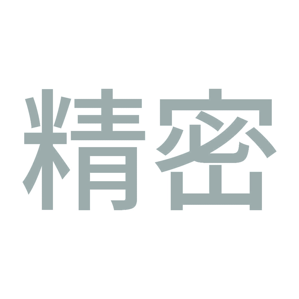 精密 10