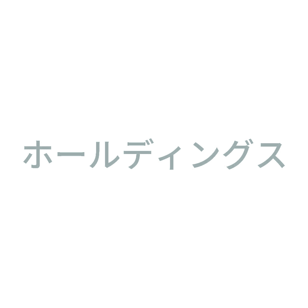 ホールディングス 10