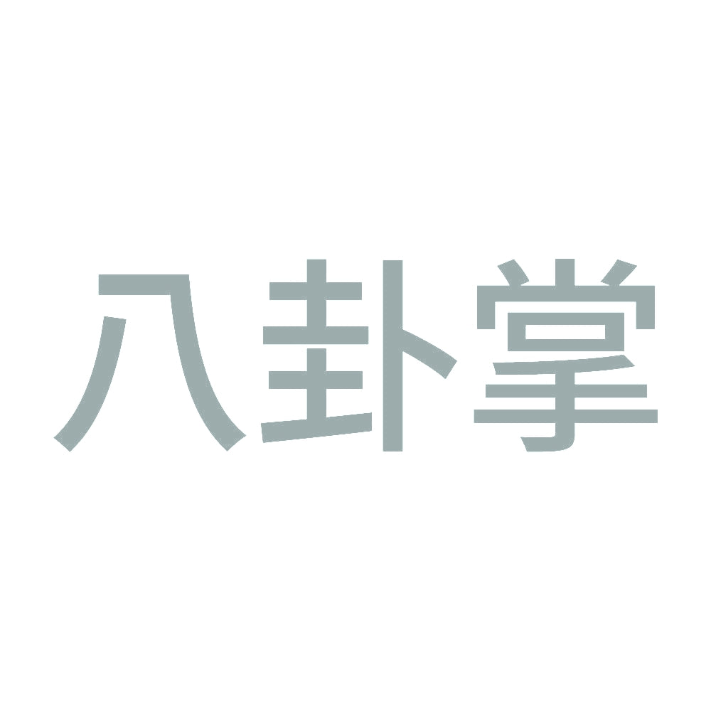 八卦掌 10