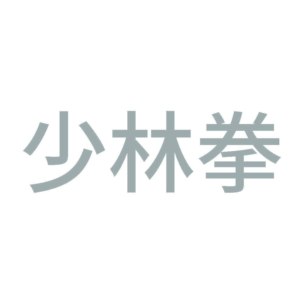 少林拳 10
