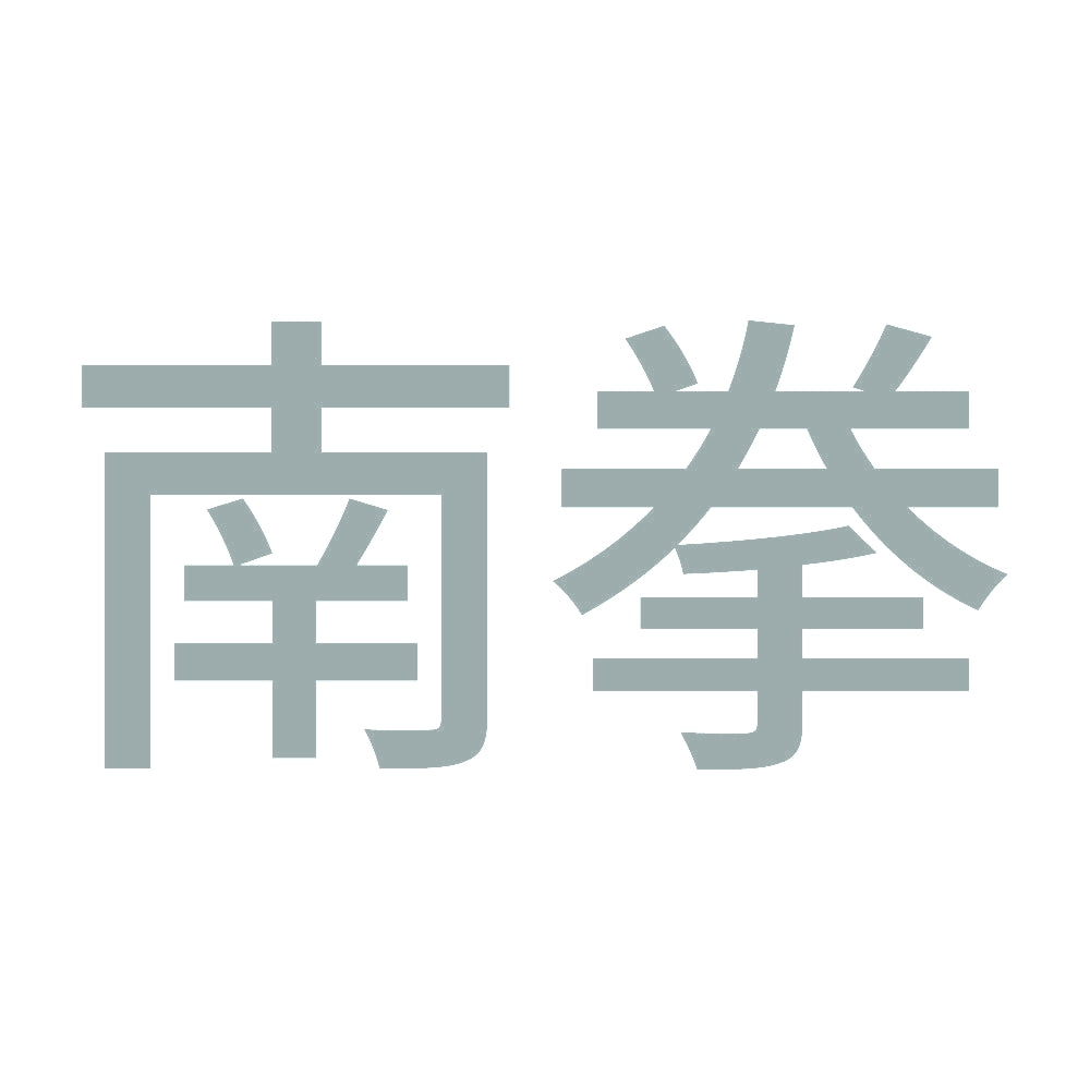 南拳 10