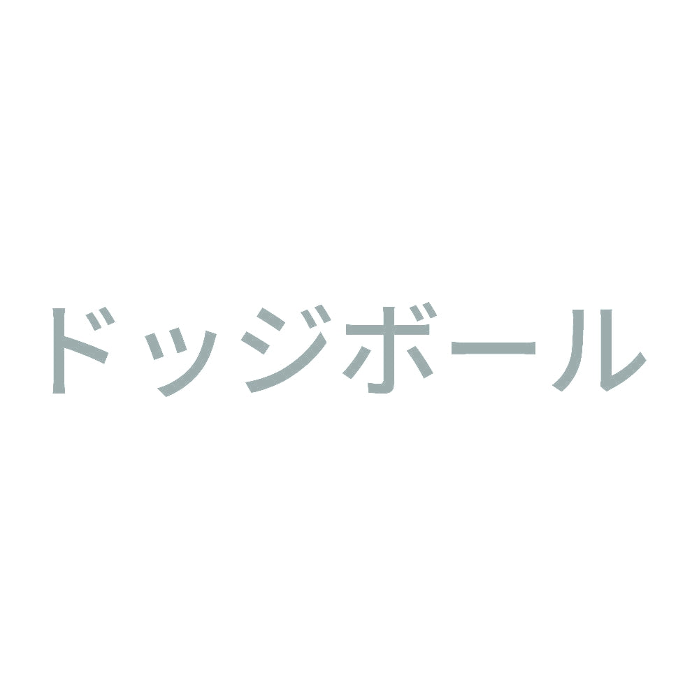 ドッジボール 10