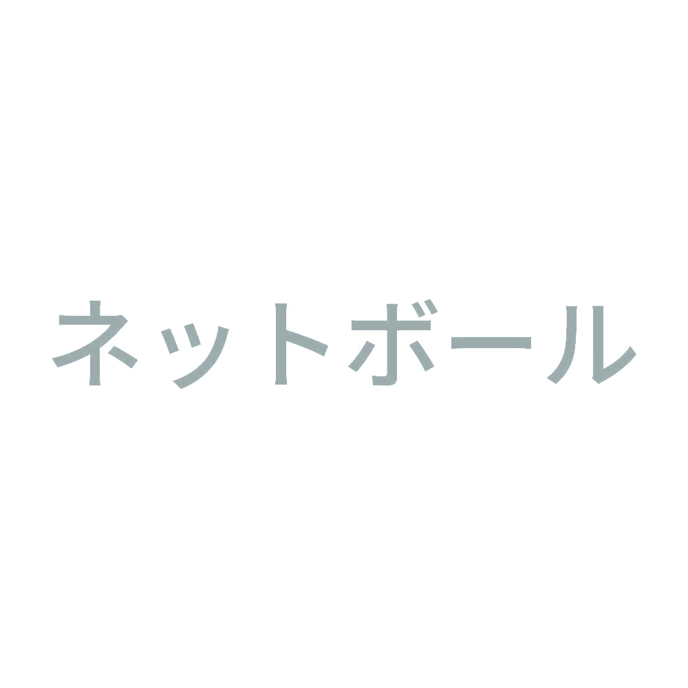 ネットボール 10