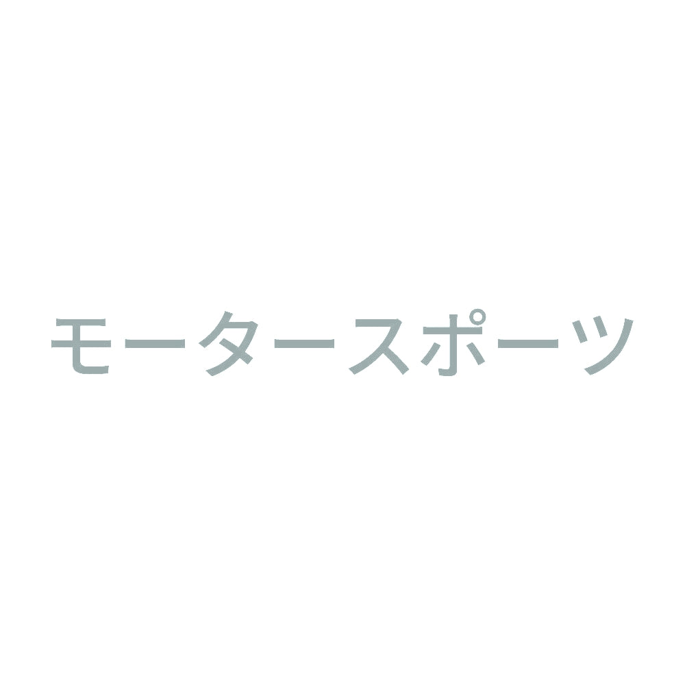 モータースポーツ 10