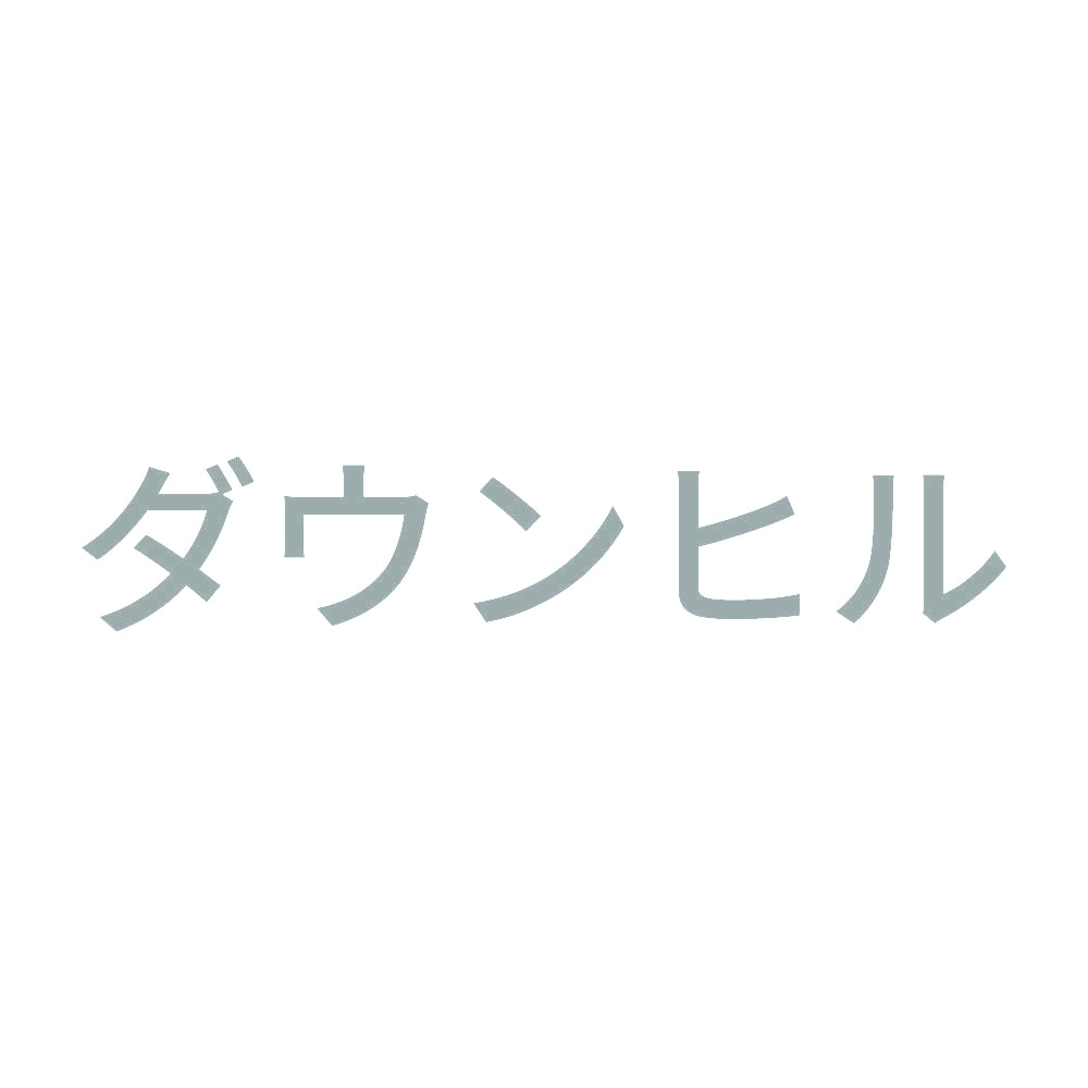 ダウンヒル 10