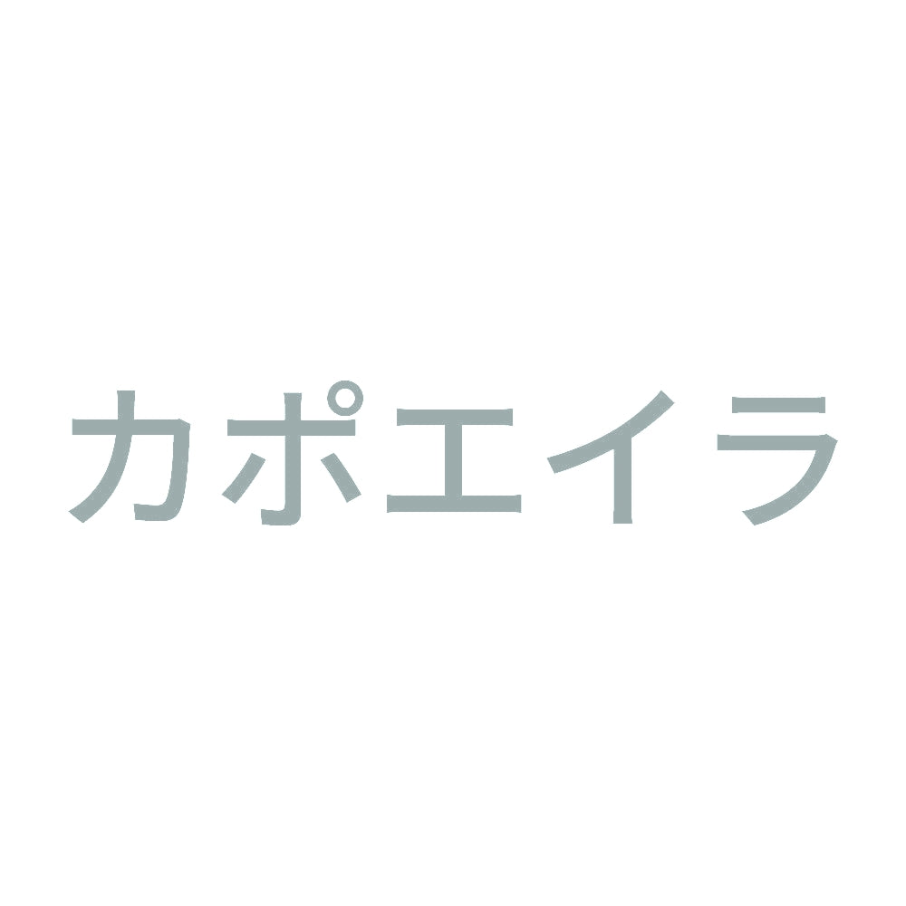 カポエイラ 10