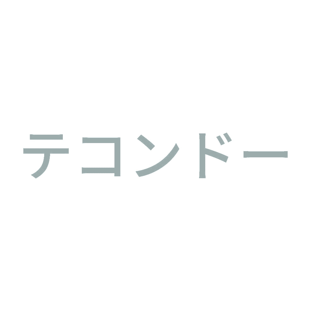 テコンドー 10