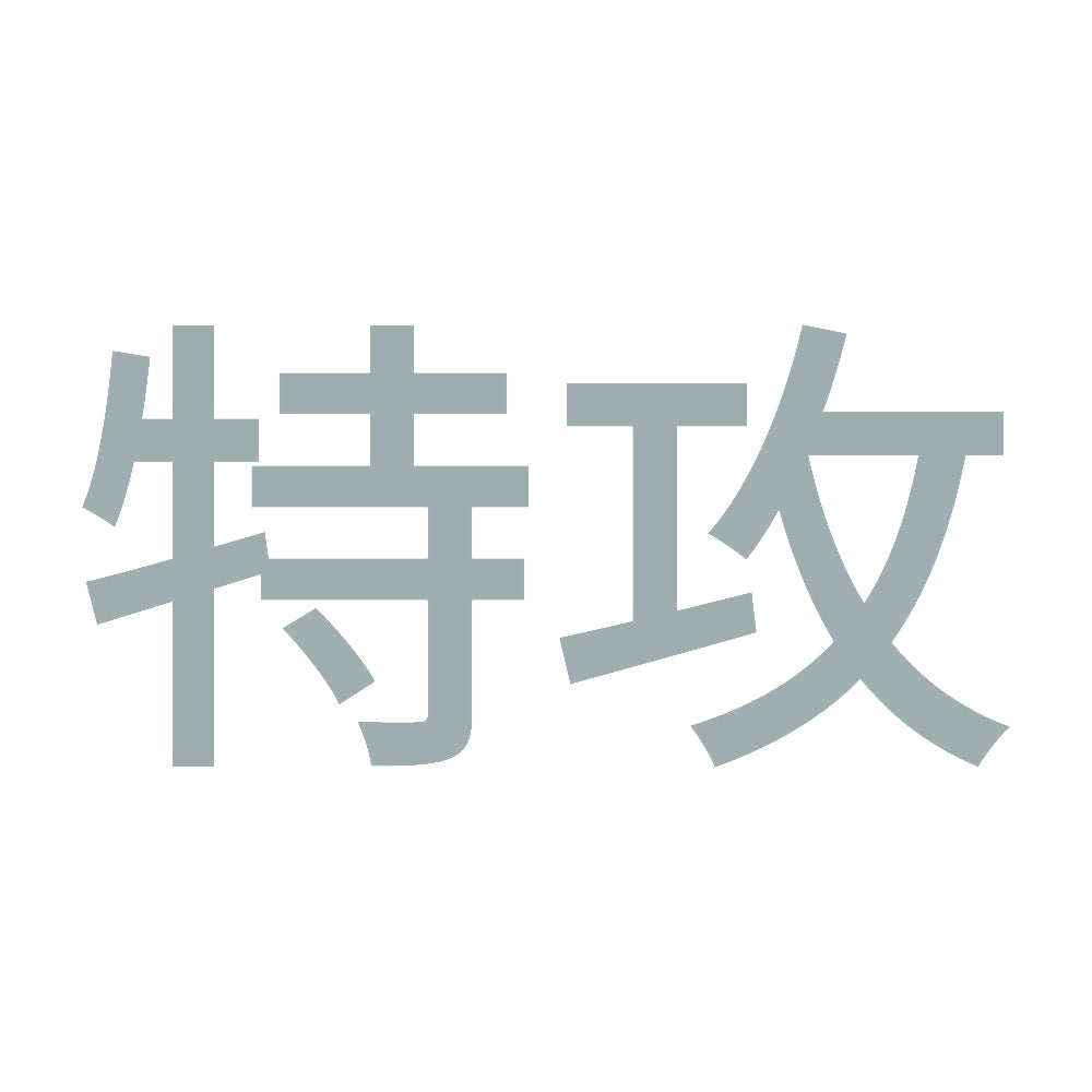 特攻 10